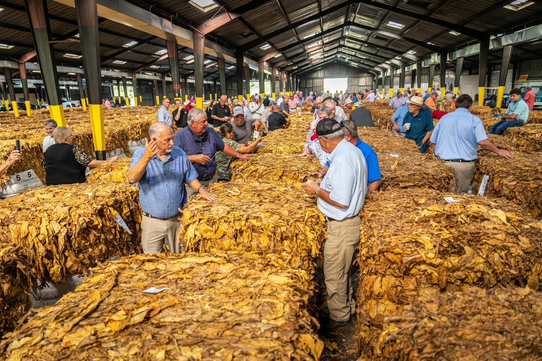Ludzie na aukcji tytoniu w magazynie oglądają liście i negocjują ceny