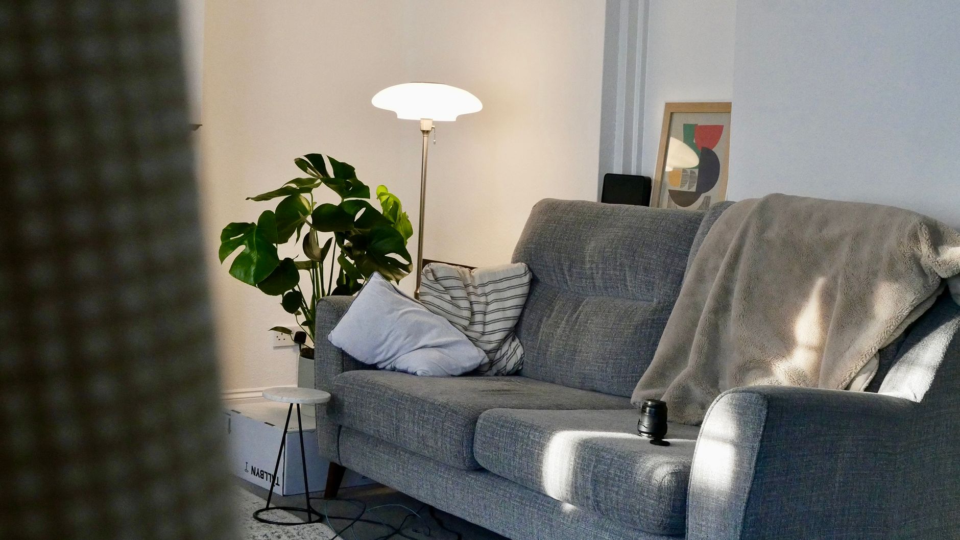Przytulny salon z szarą sofą, lampą podłogową i rośliną w porannym słońcu
